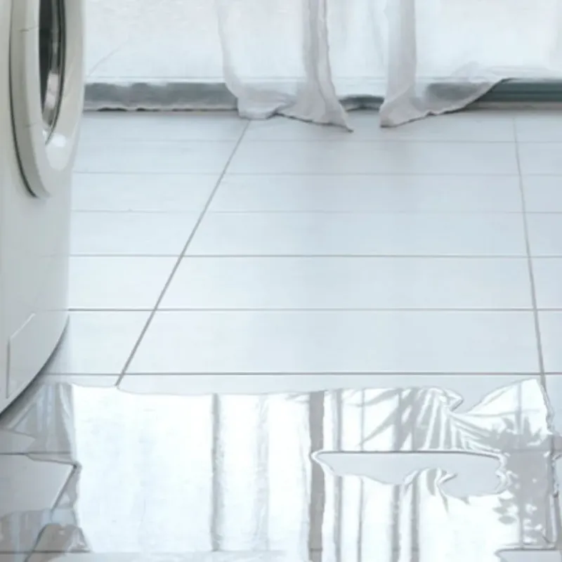 Appliance Leak Cleanup in Chico, TX