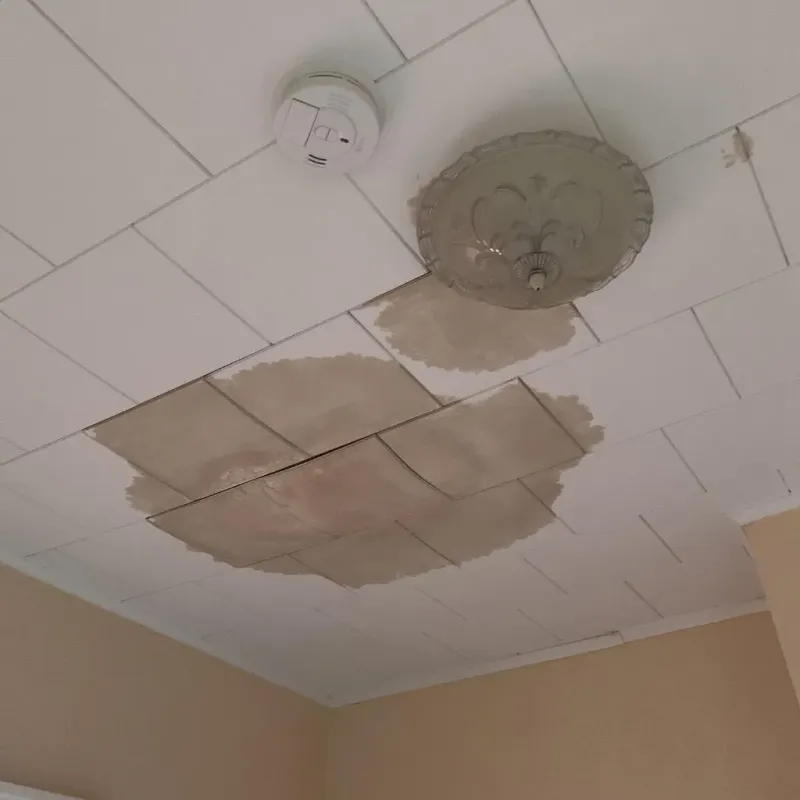 Ceiling Water Damage Repair in Chico, TX