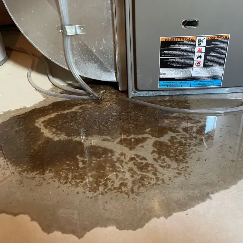 Pipe Burst and Leak Restoration in Chico, TX