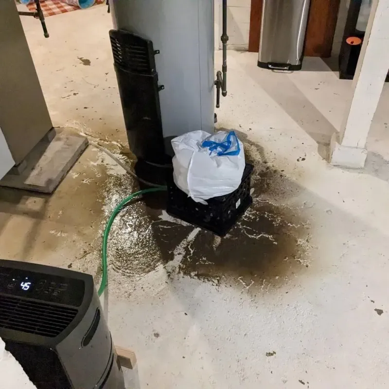 Sewage Backup Cleanup Service in Chico, TX